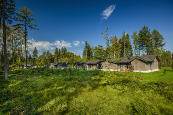 Effizient, komfortabel, individuell: Energiekonzept für eine Kleinstadt